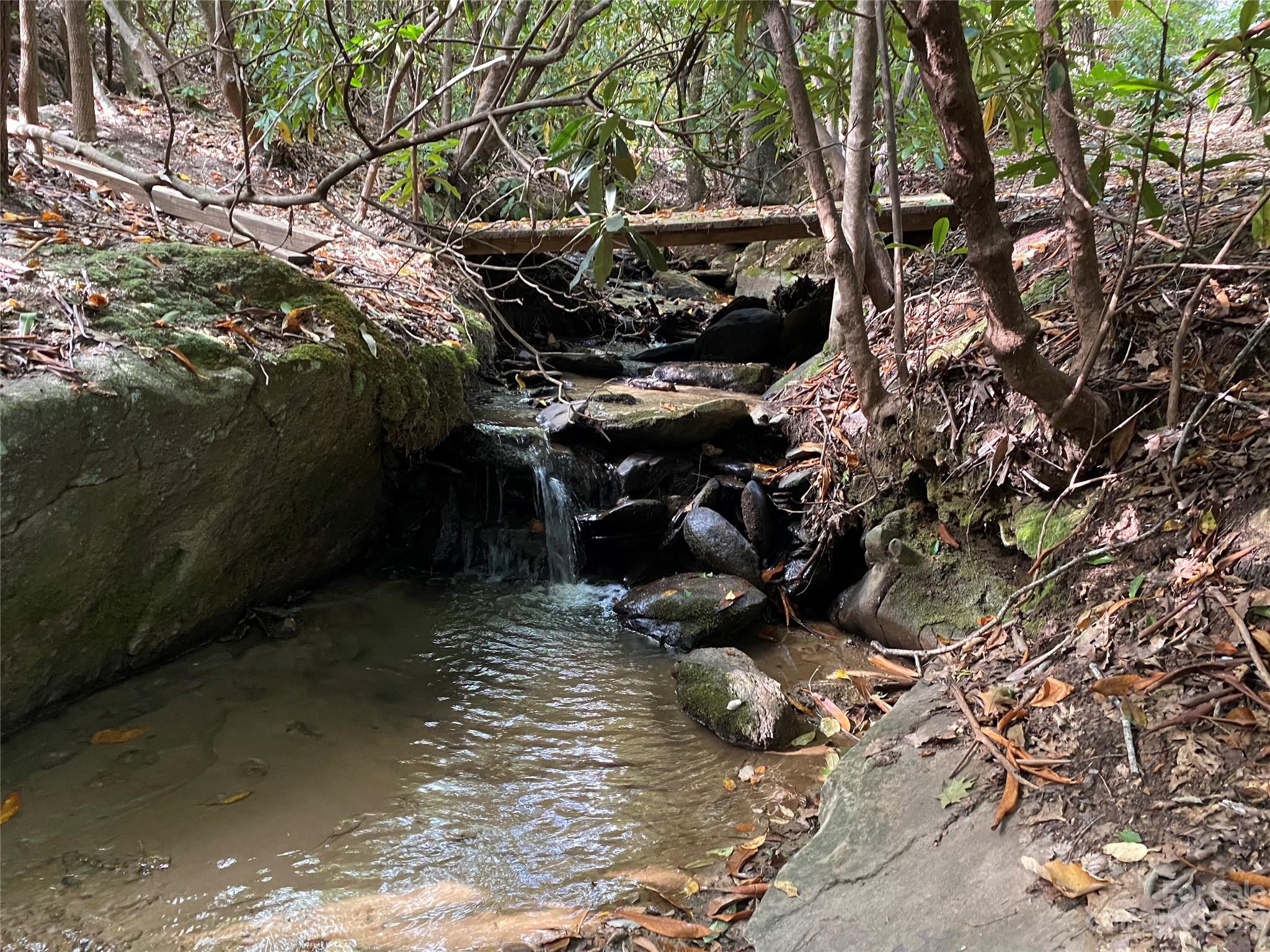 42 Bear Trail Fairview, NC 28730 - Photo 2 of 37 a backyard of a house with lots of green space