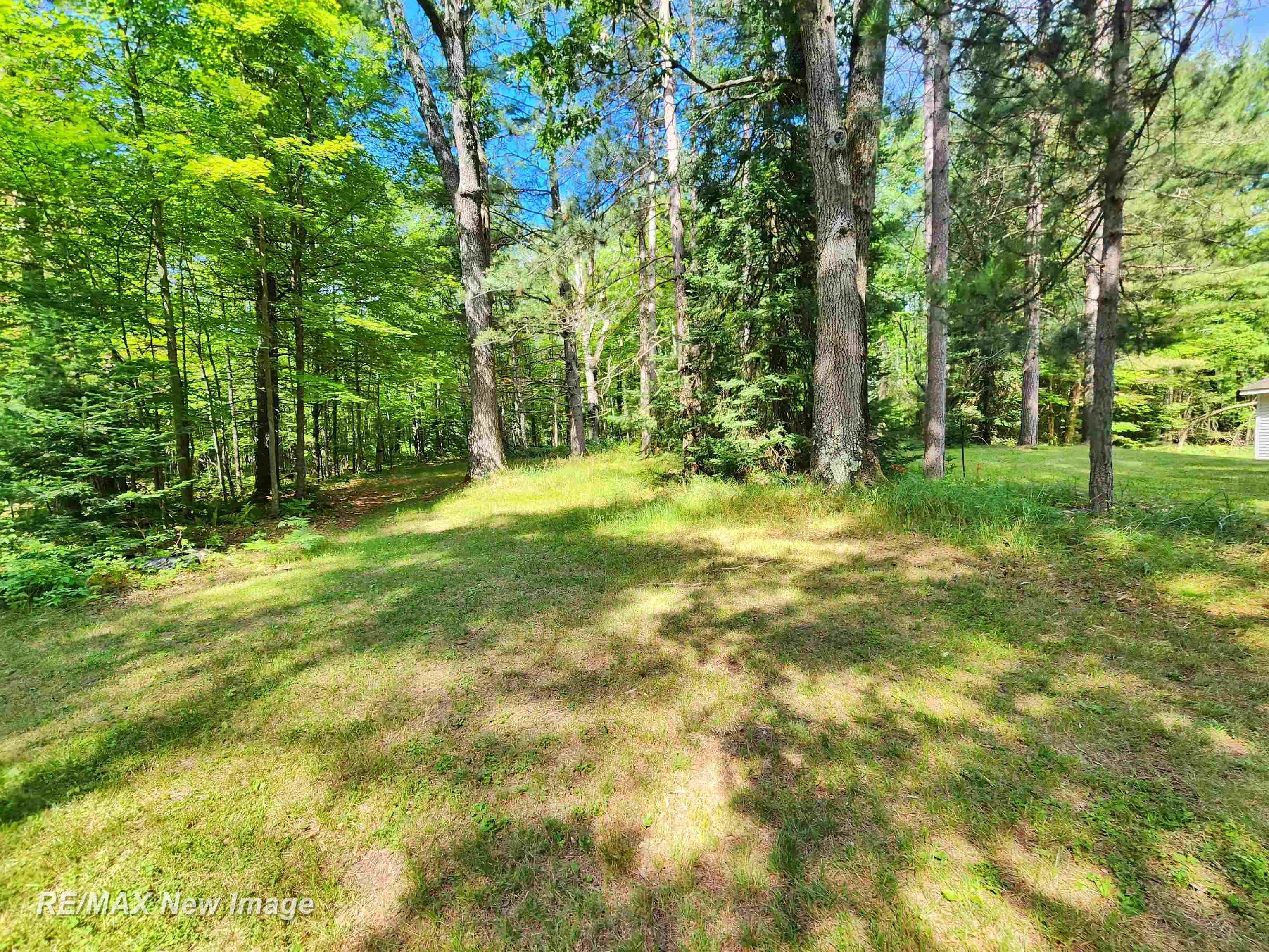 1040 Ritchie Road Lincoln, MI 48742 - Photo 45 of 63