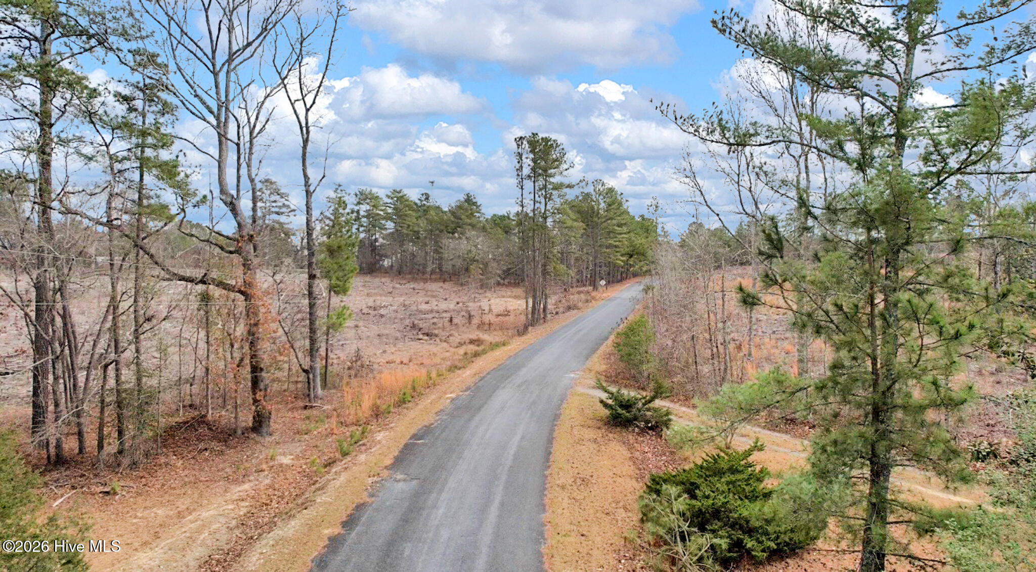 Lot 3 Simpson Road Carthage, NC 28327 - Photo 3 of 13 1 Simpson Rd(01 of 11)