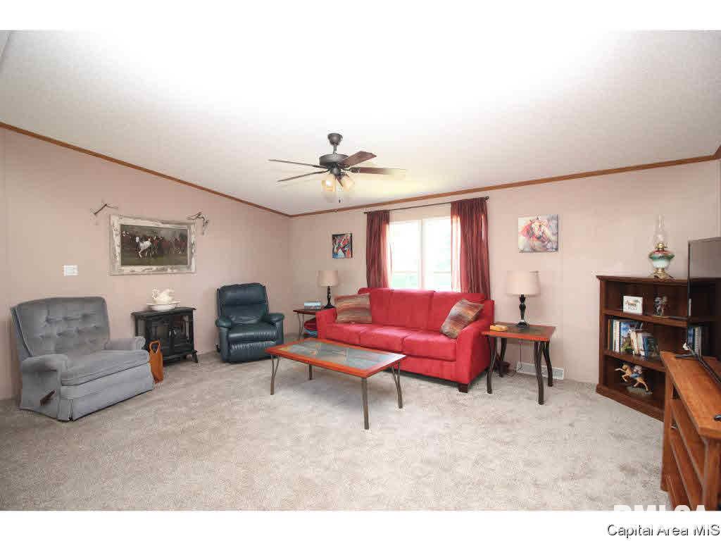 3196 Hermes Road Alexander, IL 62601 - Photo 13 of 31