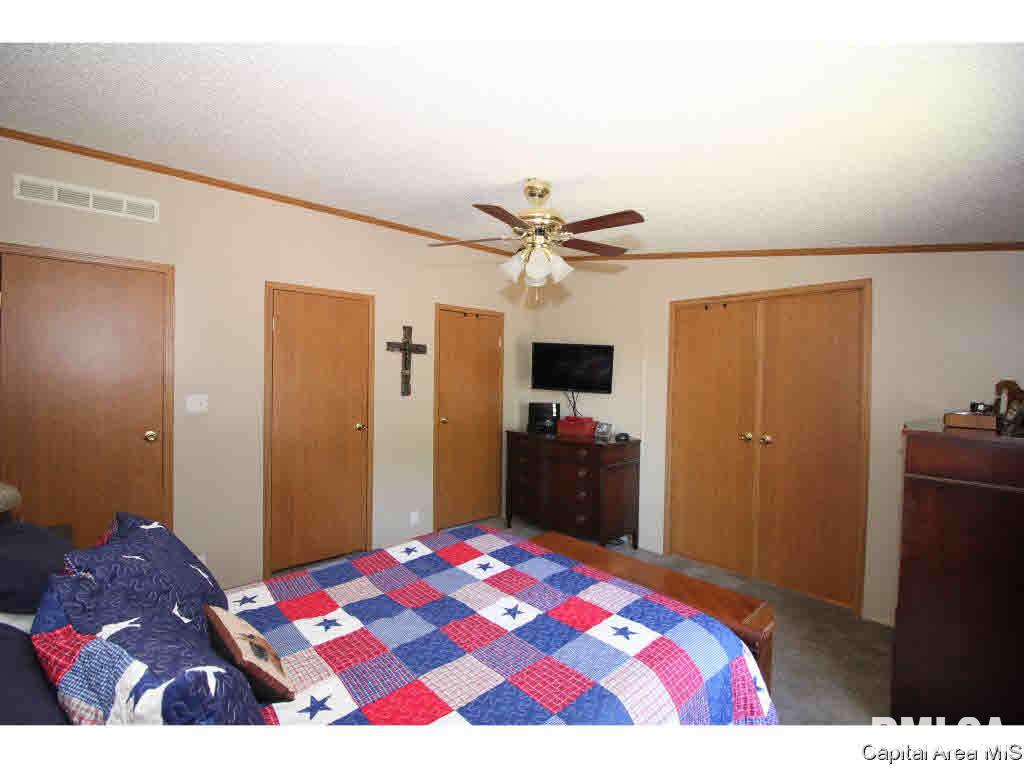 3196 Hermes Road Alexander, IL 62601 - Photo 18 of 31