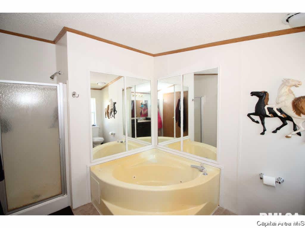 3196 Hermes Road Alexander, IL 62601 - Photo 19 of 31
