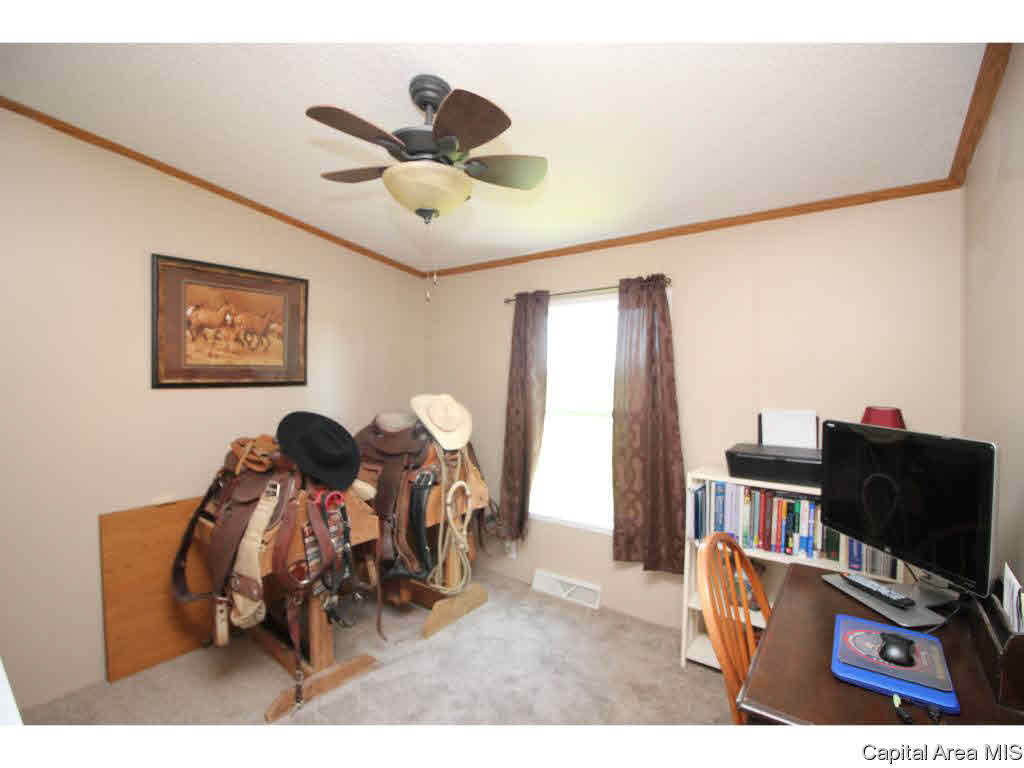 3196 Hermes Road Alexander, IL 62601 - Photo 23 of 31