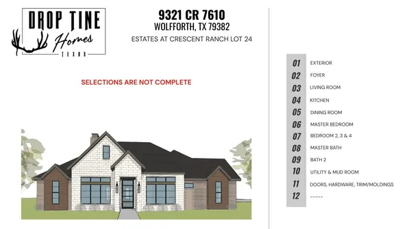 a view of a black and white photo