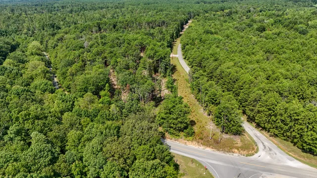 a bath tub sitting in a forest