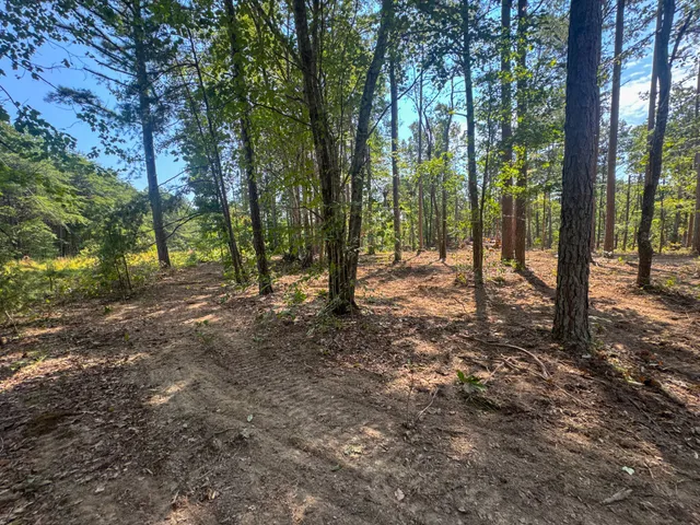 a view of outdoor space with lots of trees