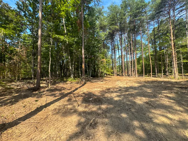 a view of outdoor space with trees