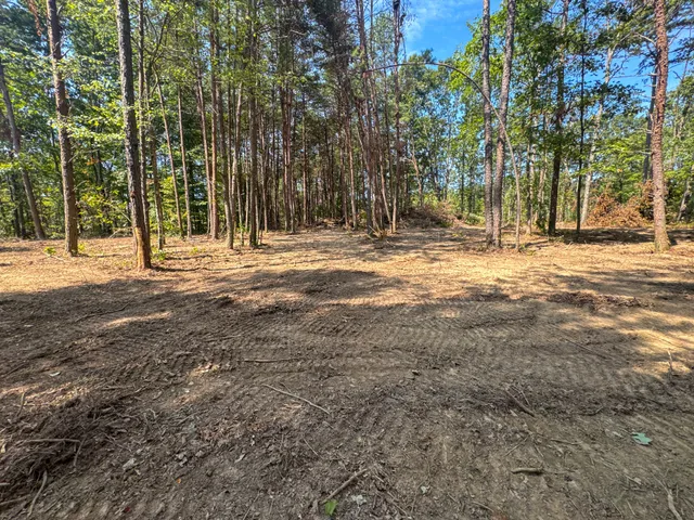 a view of a yard with a tree