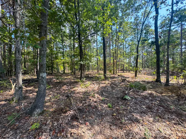 a view of outdoor space with lots of trees