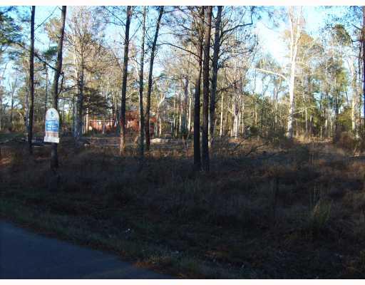 39282 Raiford Road Ponchatoula, LA 70454 - Photo 1 of 2 Gallery Image 1