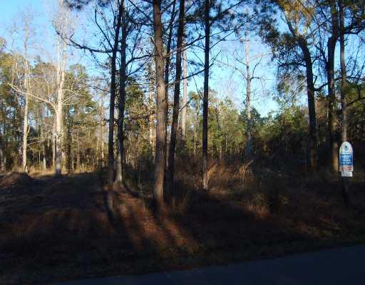 39282 Raiford Road Ponchatoula, LA 70454 - Photo 2 of 2 Gallery Image 2