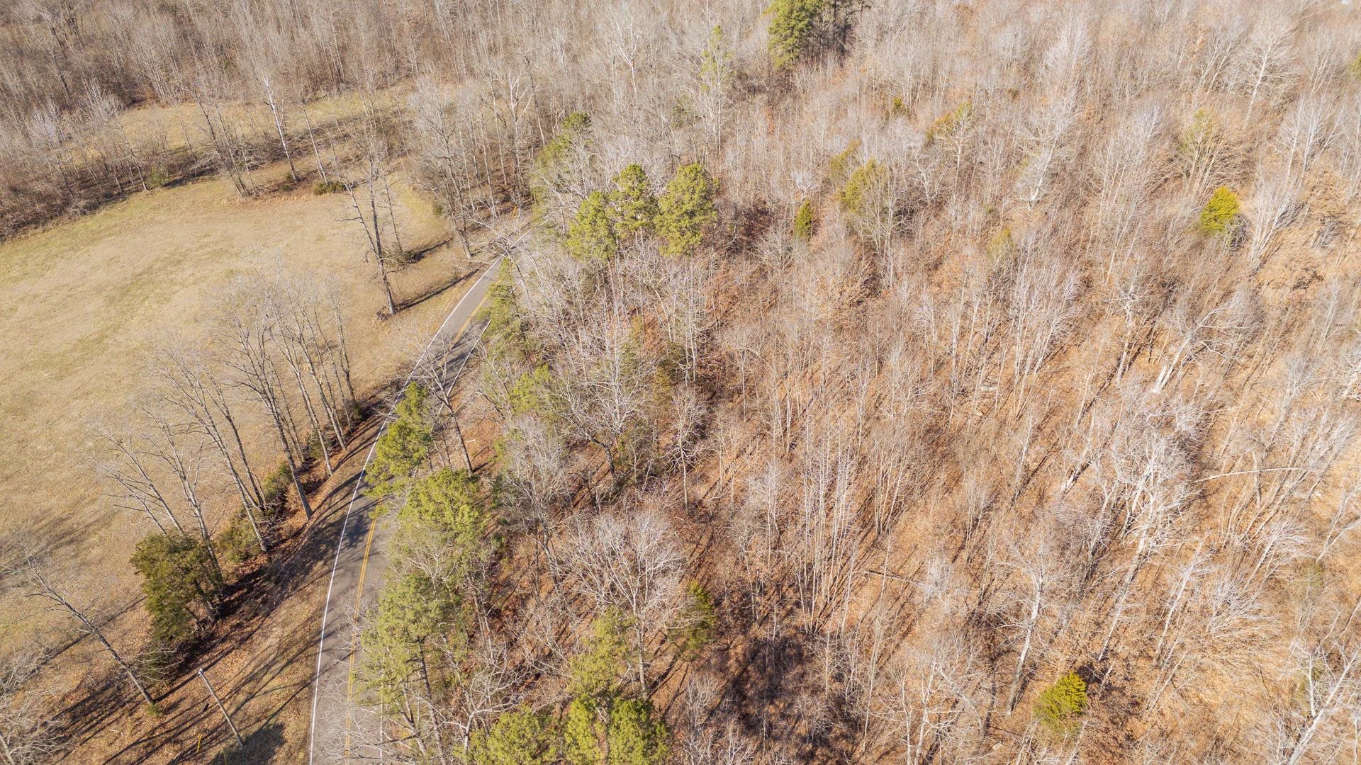 3310 Holland Creek Road Savannah, TN 38372 - Photo 11 of 28 a view of a yard