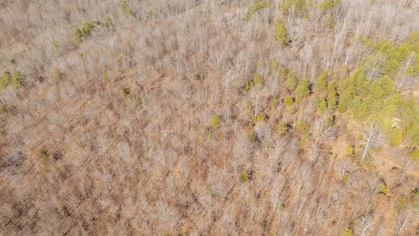 a view of a dry yard