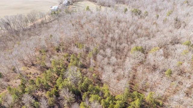 a view of a dry yard