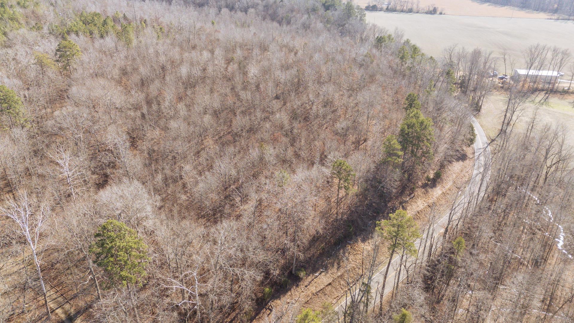 3310 Holland Creek Road Savannah, TN 38372 - Photo 18 of 28 a view of a yard