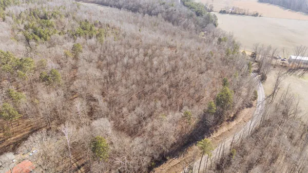 a view of a dry yard