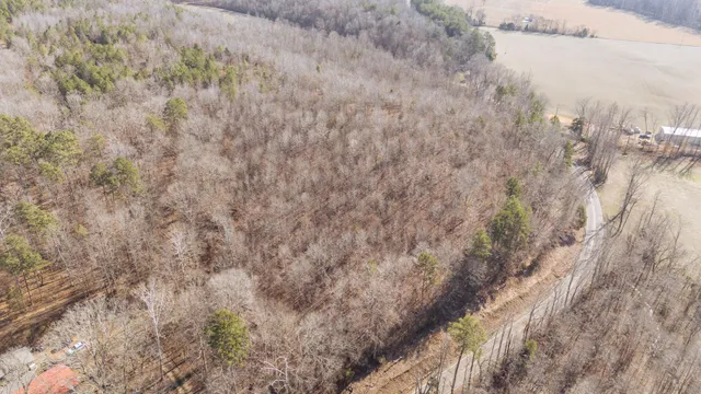 a view of a dry yard