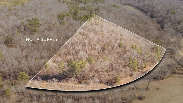 a close up of a plant with wooden wall