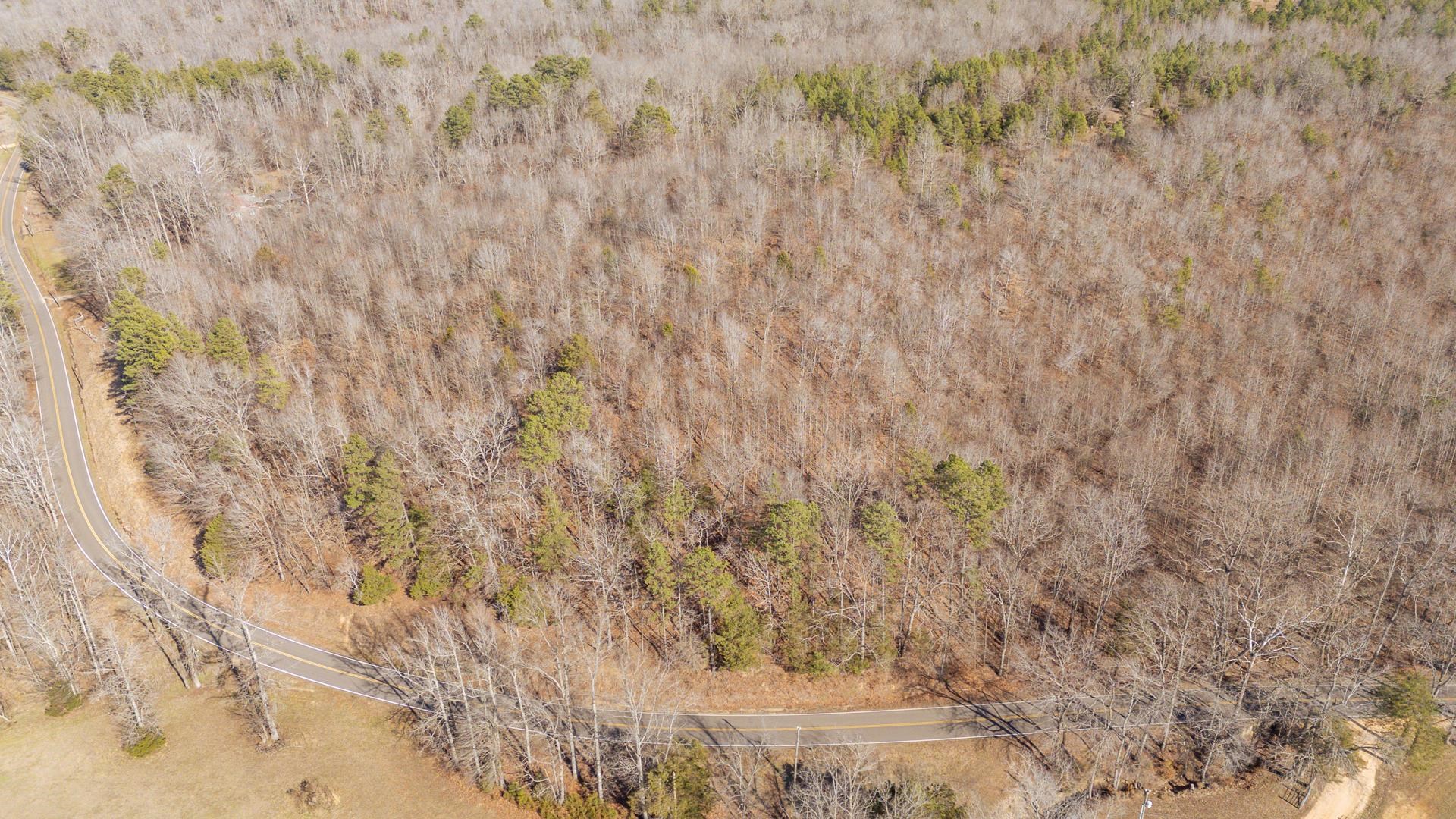 3310 Holland Creek Road Savannah, TN 38372 - Photo 25 of 28 a view of a dry yard