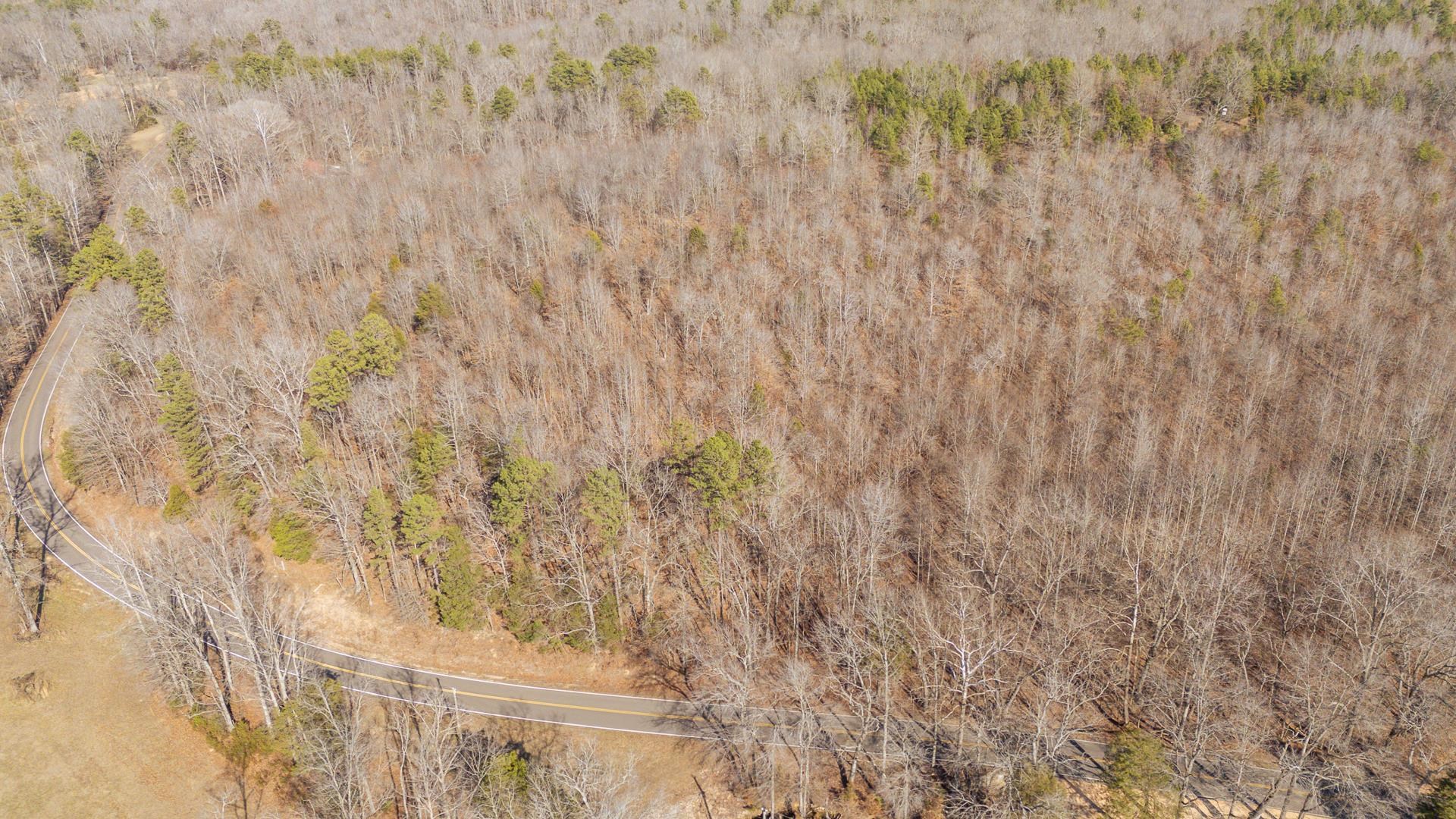 3310 Holland Creek Road Savannah, TN 38372 - Photo 26 of 28 a view of a dry yard