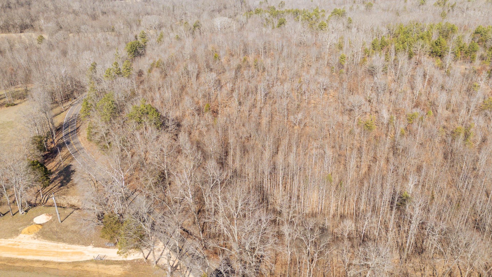 3310 Holland Creek Road Savannah, TN 38372 - Photo 28 of 28 a close up of a plant