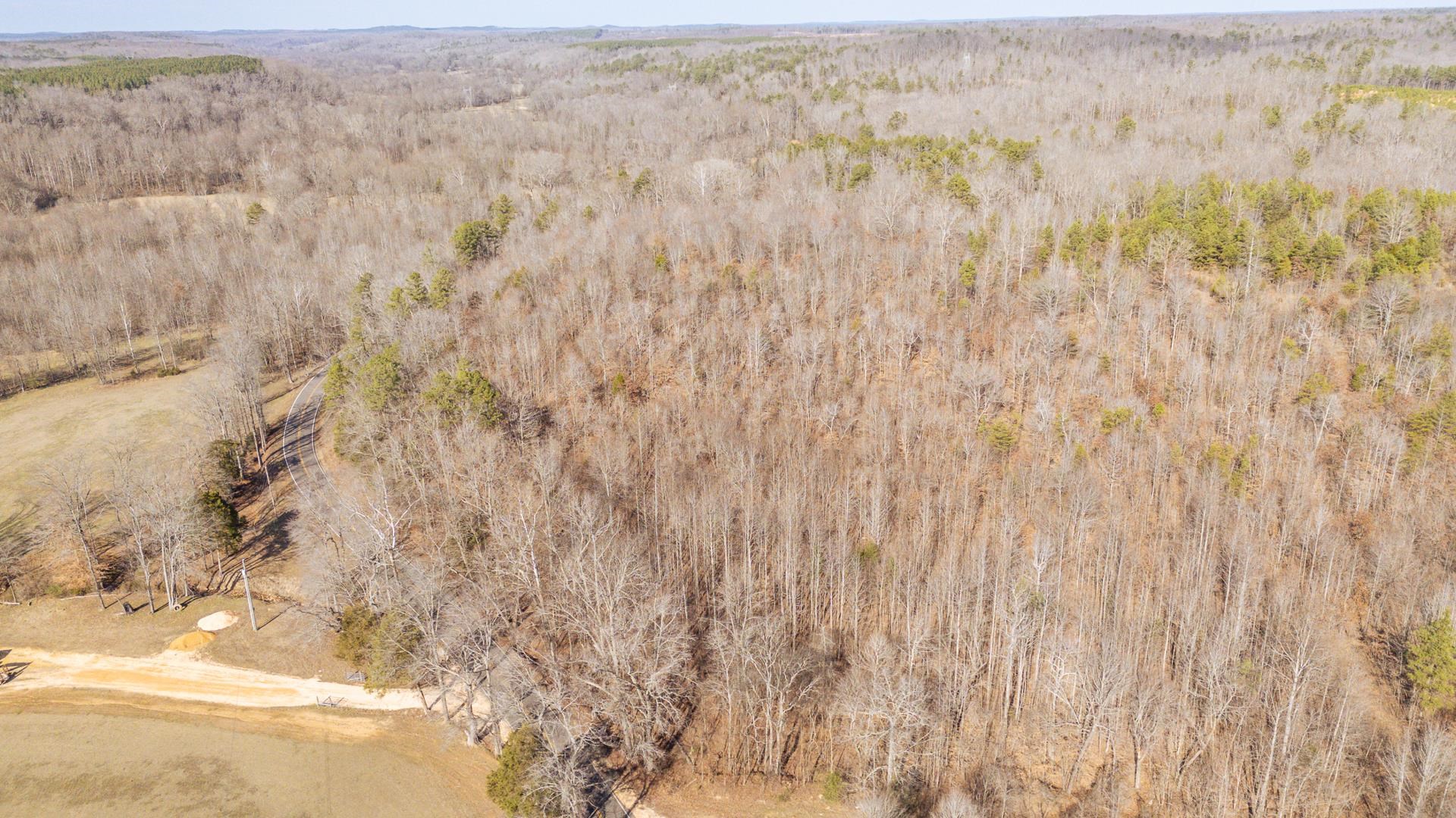 3310 Holland Creek Road Savannah, TN 38372 - Photo 4 of 28 a close up of a plant with wooden wall