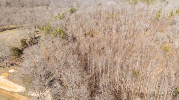 a view of a yard with wooden fence