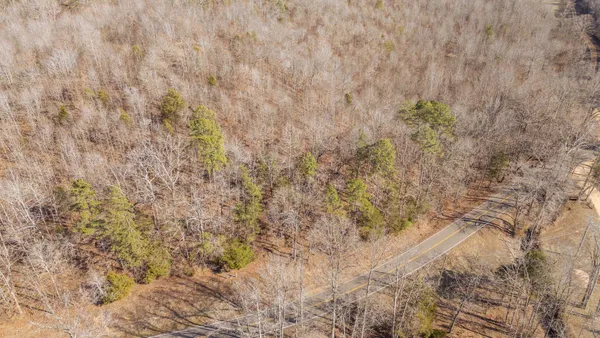 a close up view of a plant