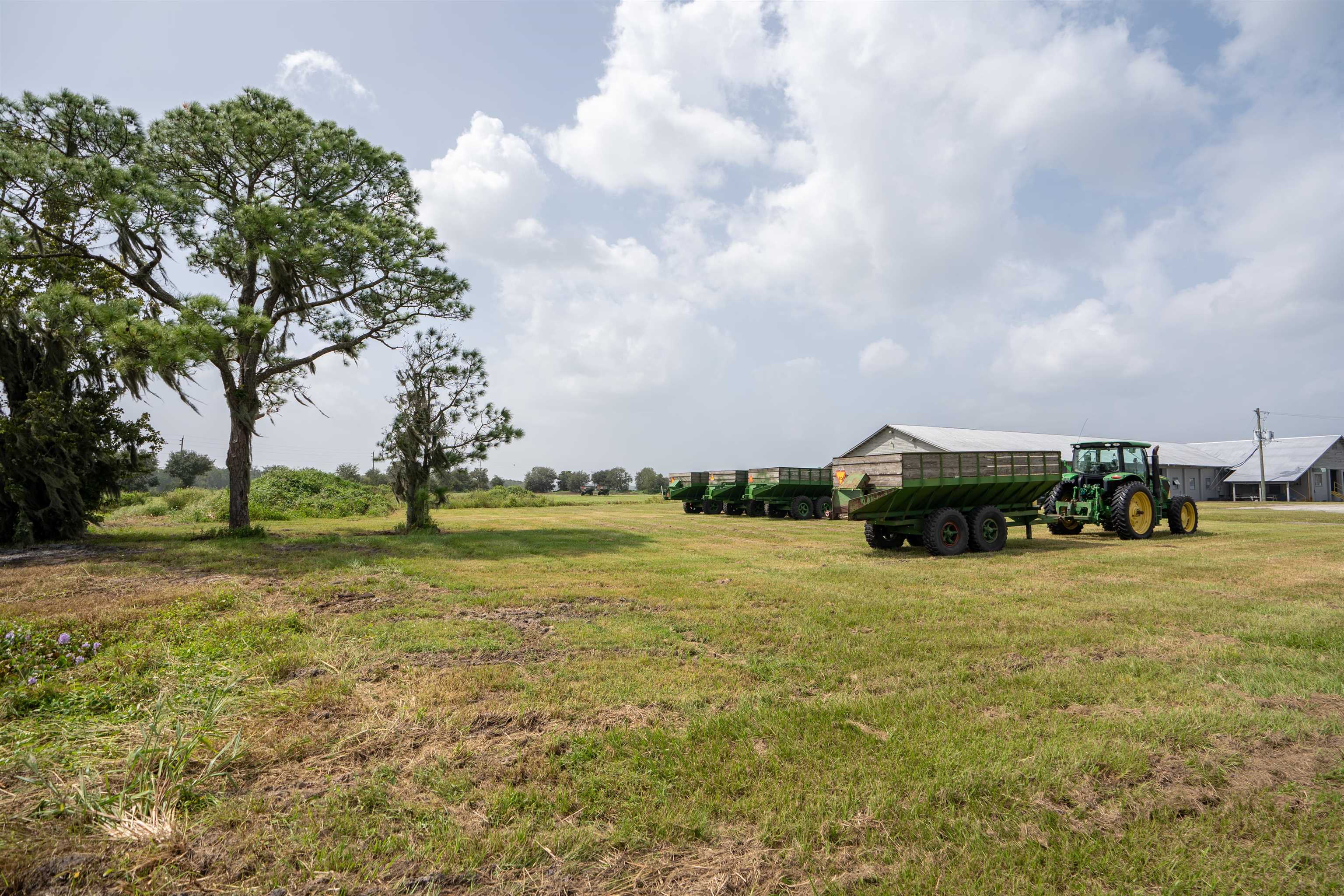1105 County Road 13A Elkton, FL 32033 - Photo 47 of 57 a view of a lake with a big yard