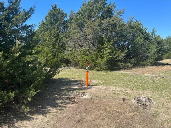 a view of a tree with a yard