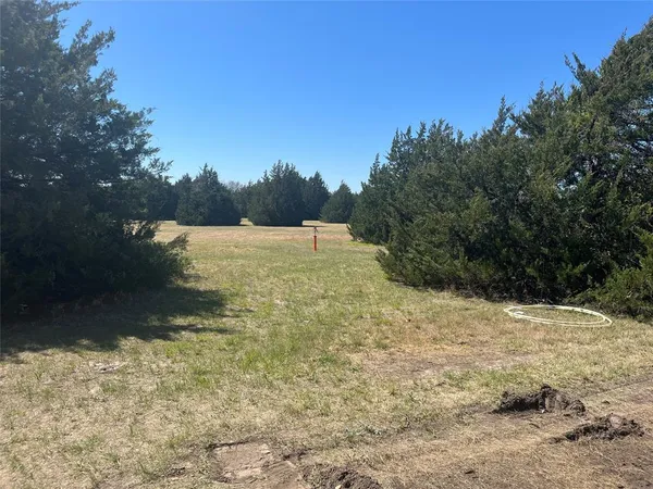 a view of a yard with a tree