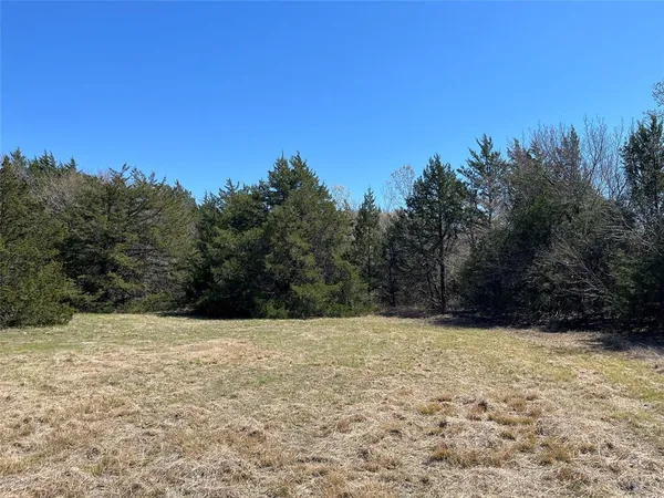 a outdoor view