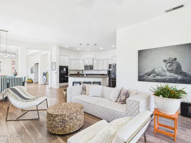 a living room with furniture or kitchen view and a potted plant