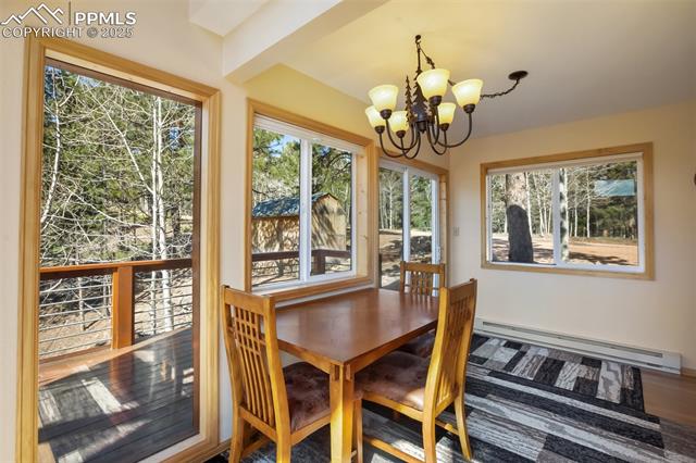 204 Kutsu Ridge Road Florissant, CO 80816 - Photo 9 of 29