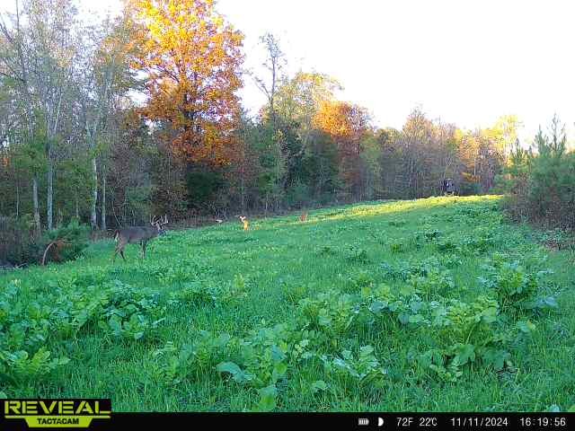 0 West Hollow Road Goodspring, TN 38460 - Photo 90 of 99