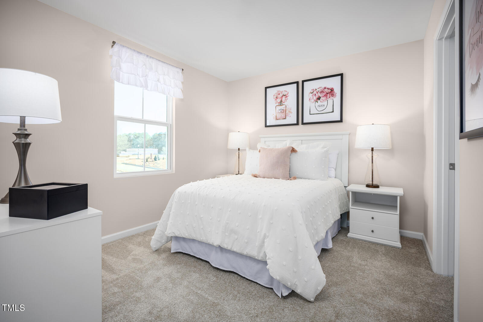 4050 Dragonfly Road Bailey, NC 27807 - Photo 13 of 18