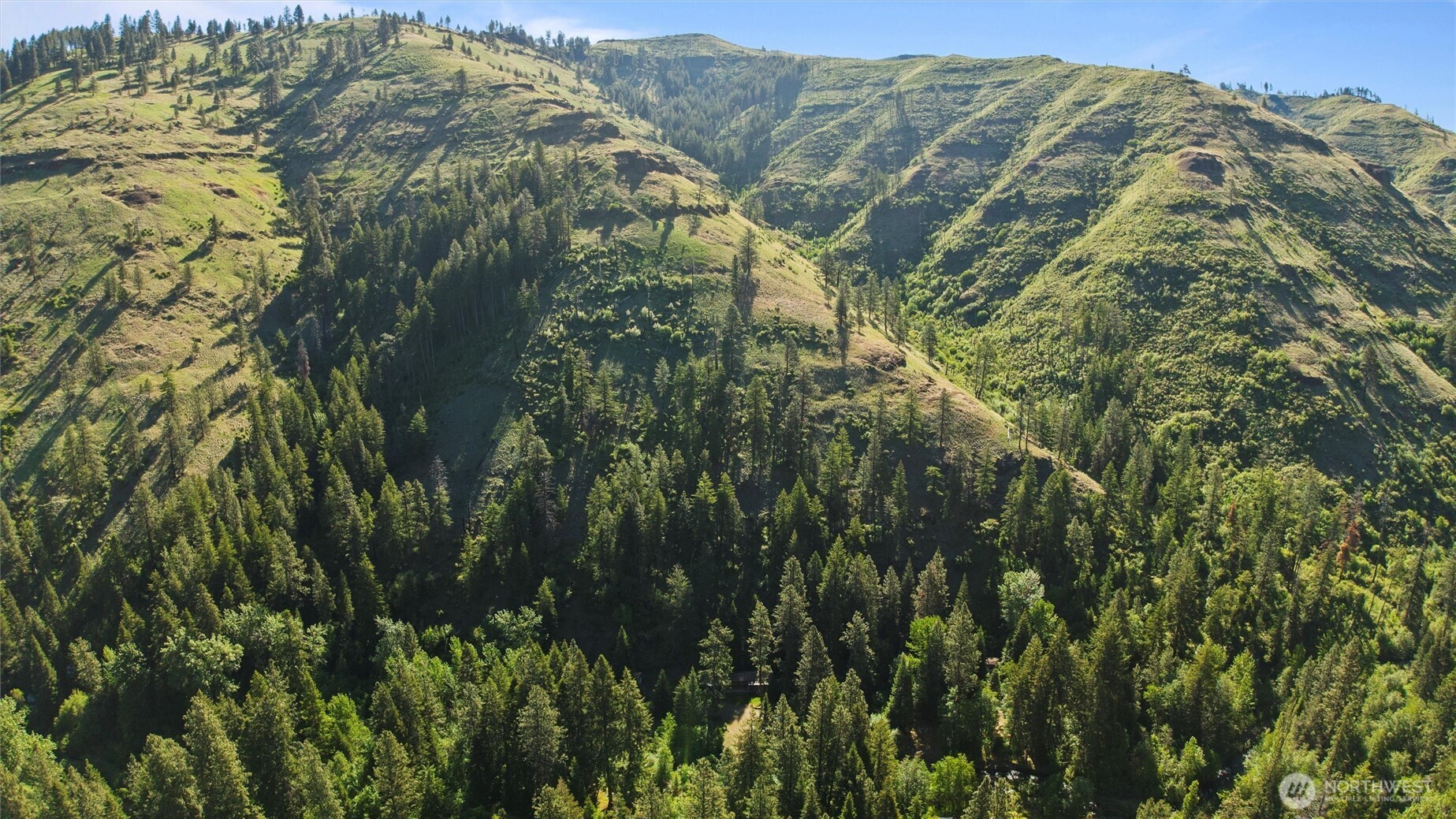 136 Tamarack Lane Dayton, WA 99328 - Photo 35 of 40