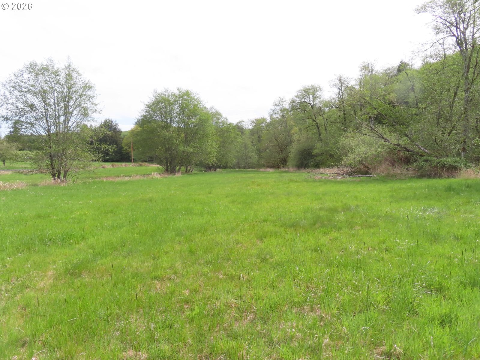 Hagen Road Mossyrock, WA 98564 - Photo 27 of 29