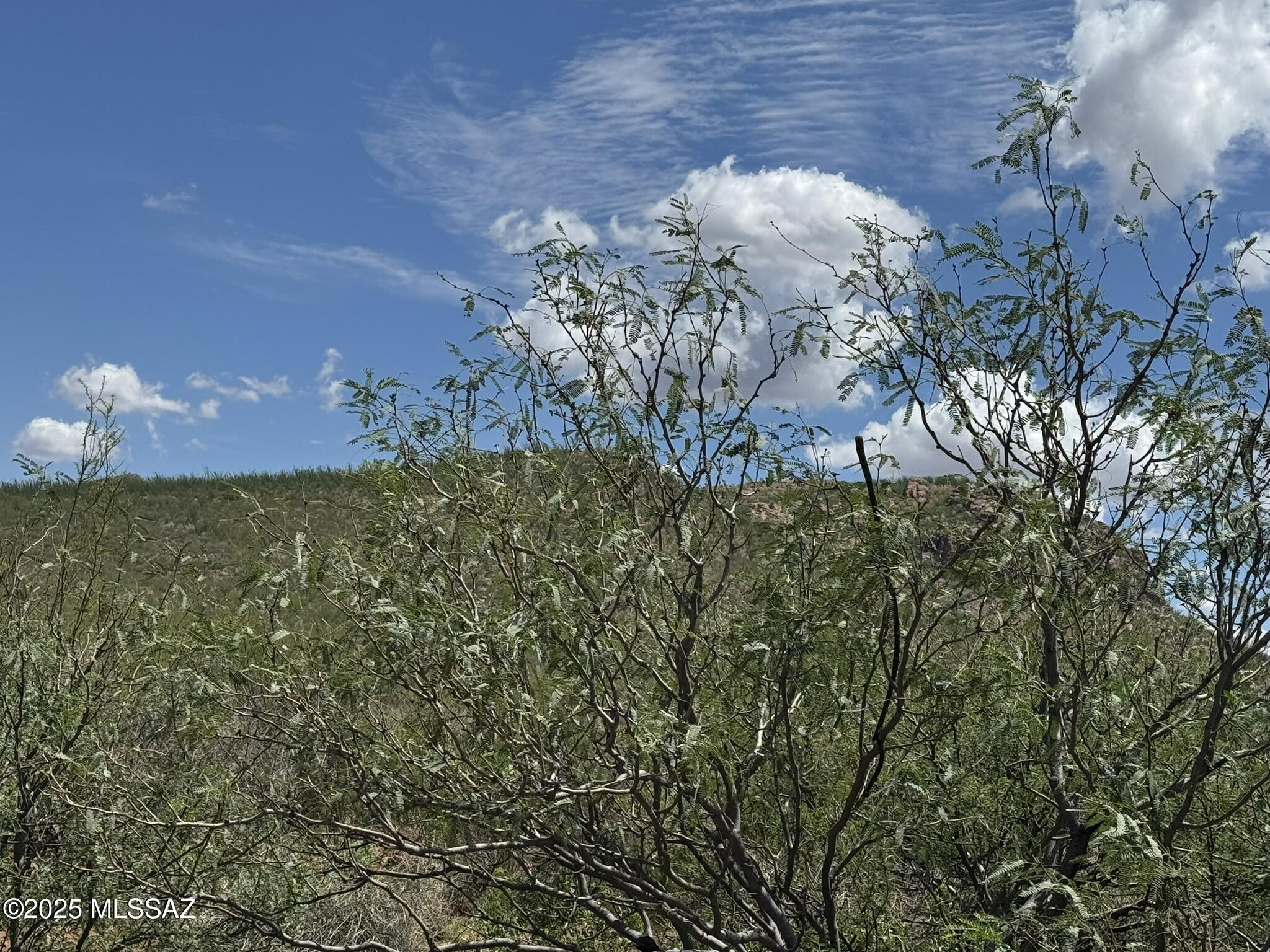 40-acres East Get Lost Road Douglas, AZ 85607 - Photo 26 of 28