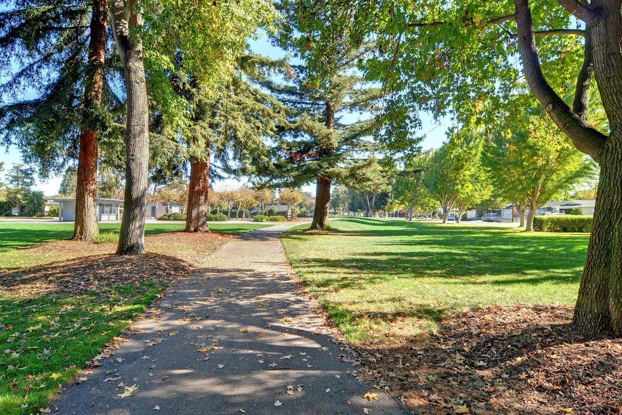 89 Centre Street Mountain View, CA 94041 - Photo 14 of 31 a view of a park with large trees