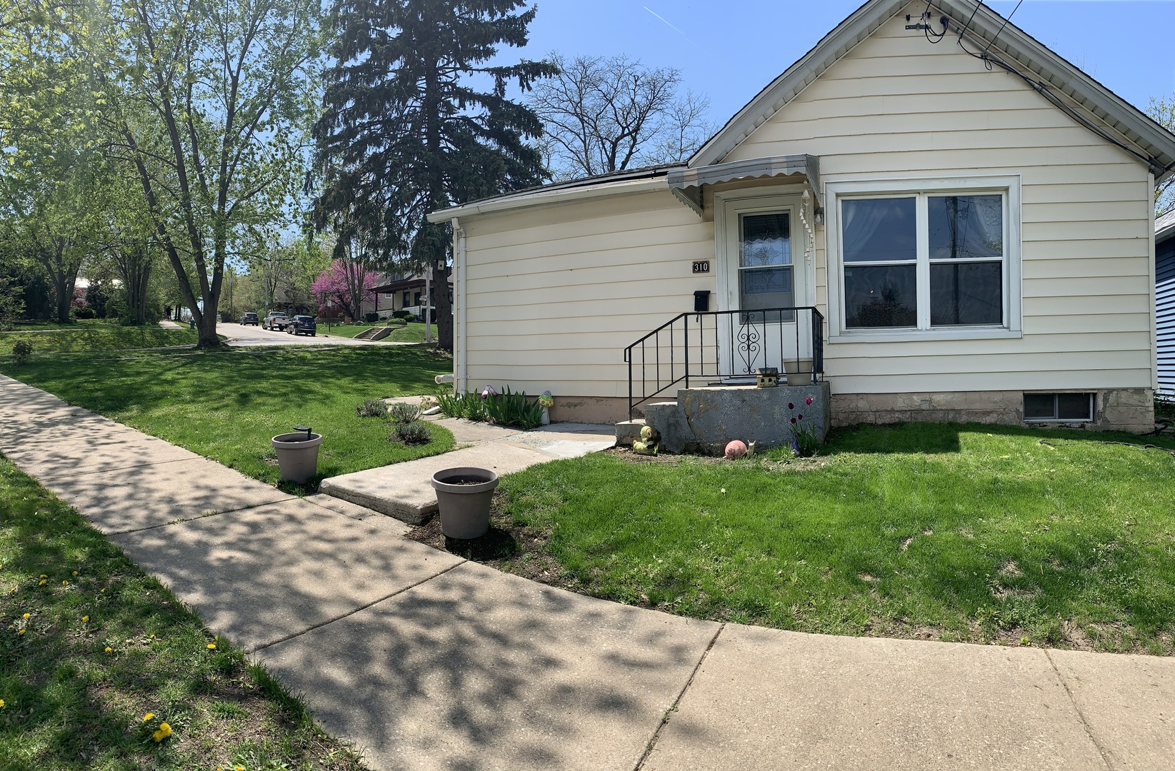 310 Lockport Street Lemont, IL 60439 - Photo 3 of 18