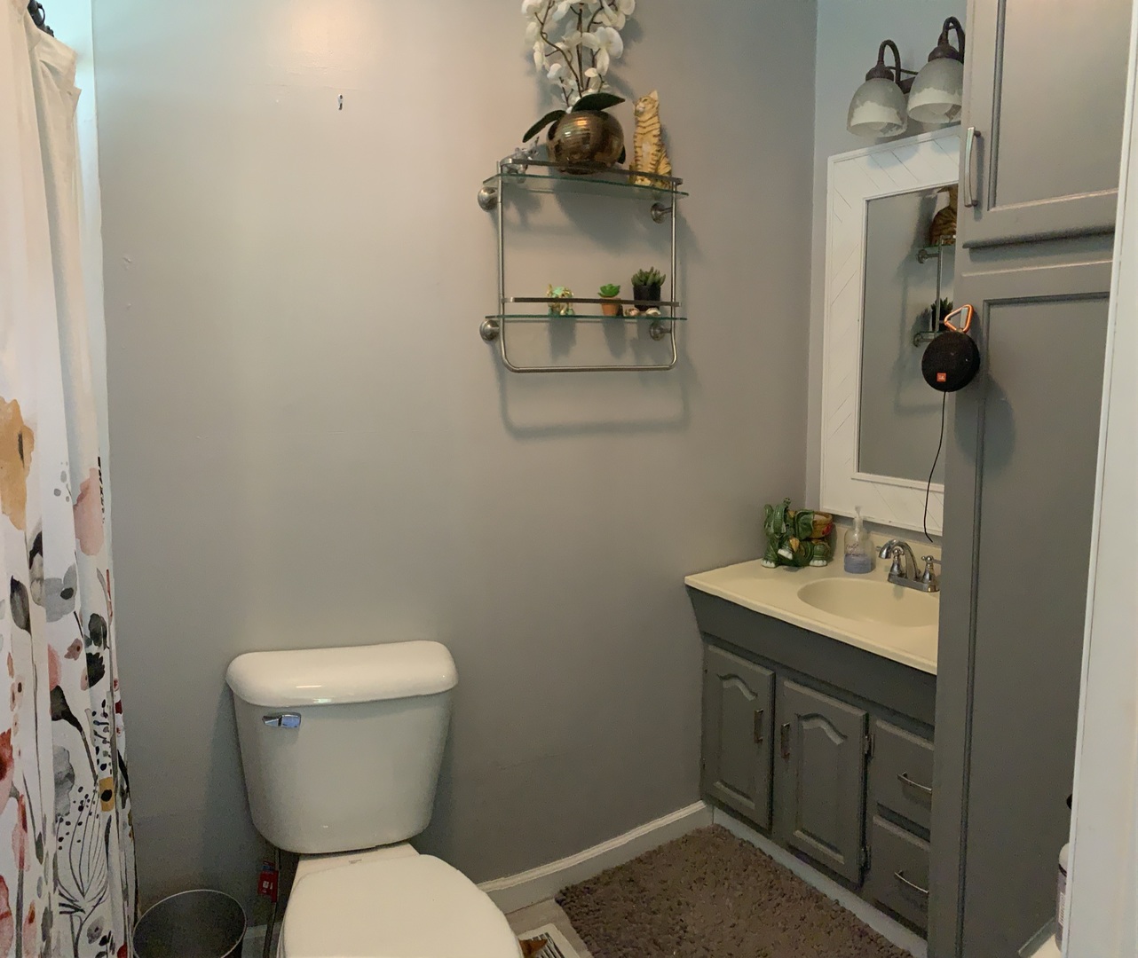 310 Lockport Street Lemont, IL 60439 - Photo 9 of 18