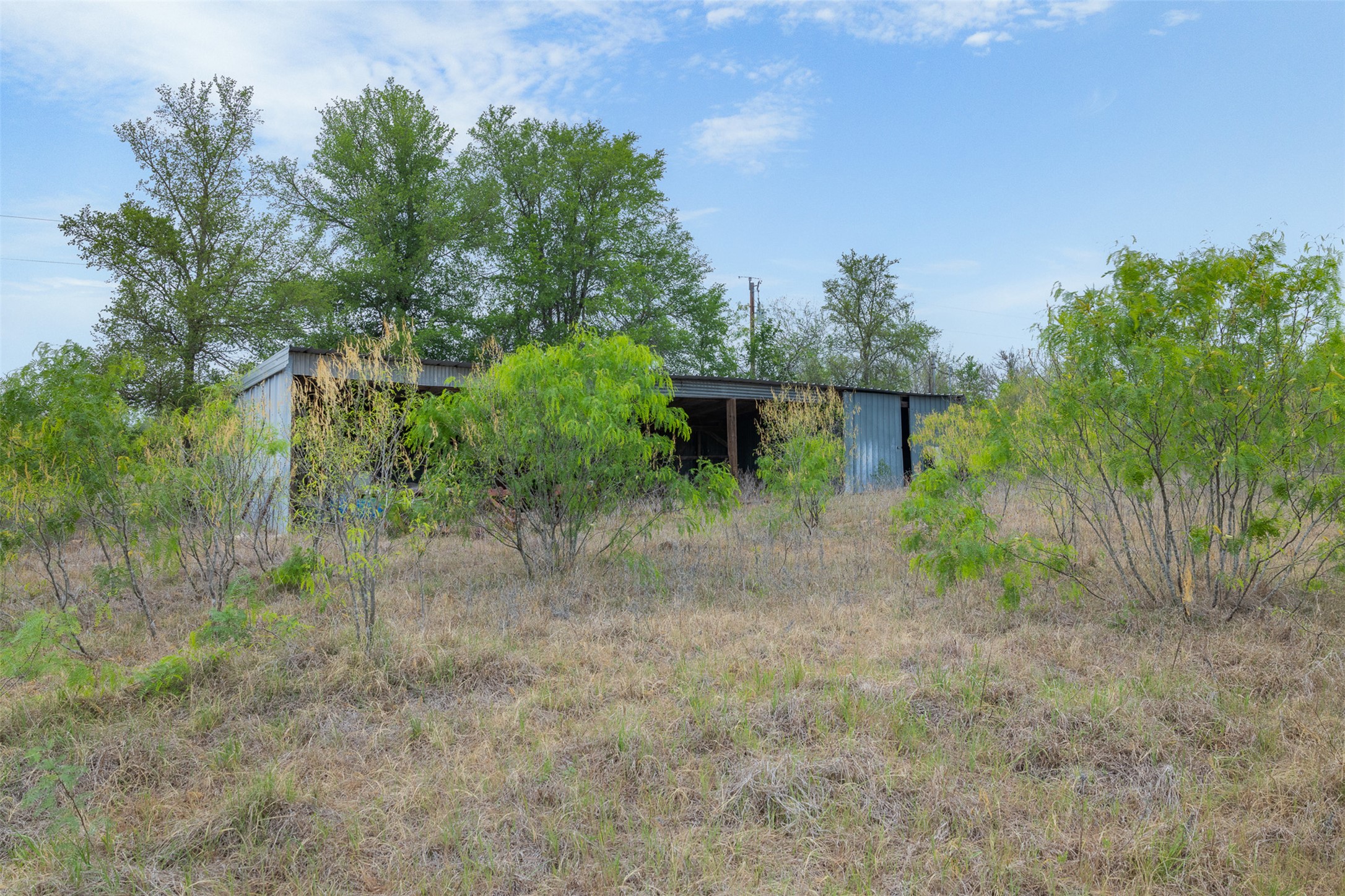 579 Lower Elgin Road Elgin, TX 78621 - Photo 17 of 40 a view of a yard with plants and a tree