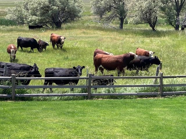 313 Rendezvous Street Buffalo, WY 82834 - Photo 45 of 49