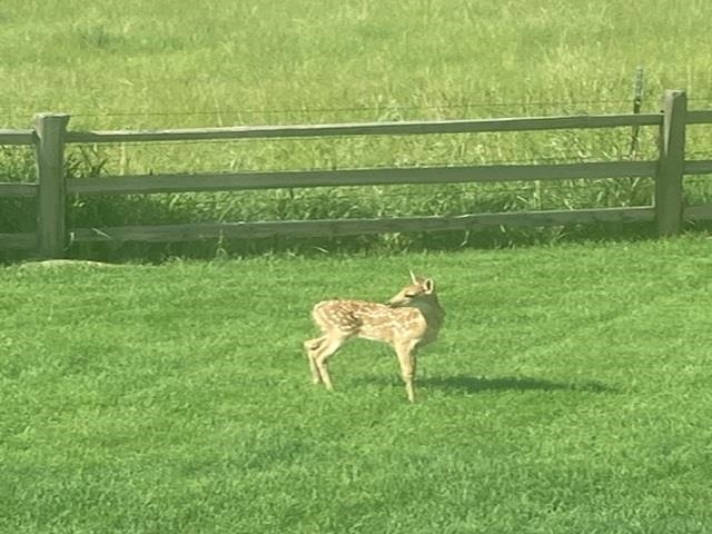 313 Rendezvous Street Buffalo, WY 82834 - Photo 48 of 49