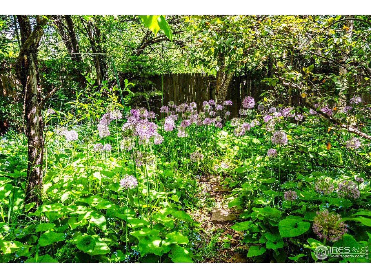 1380 Ithaca Drive Boulder, CO 80305 - Photo 23 of 31 Backyard