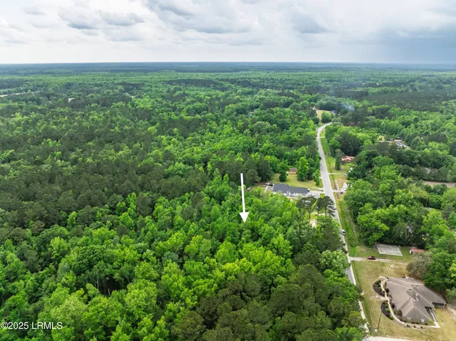 $42,500 | Tbd Tbd Cal Causeway, Tillman, SC 29943