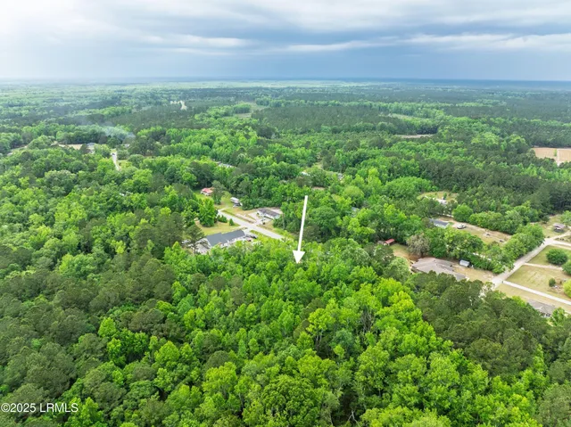 $42,500 | Tbd Tbd Cal Causeway, Tillman, SC 29943