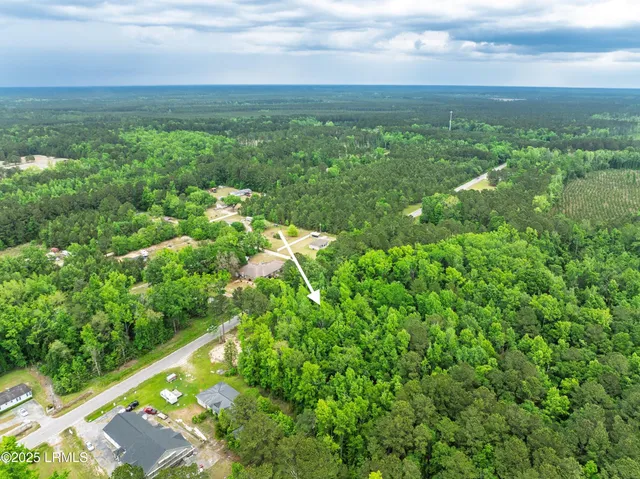 $42,500 | Tbd Tbd Cal Causeway, Tillman, SC 29943