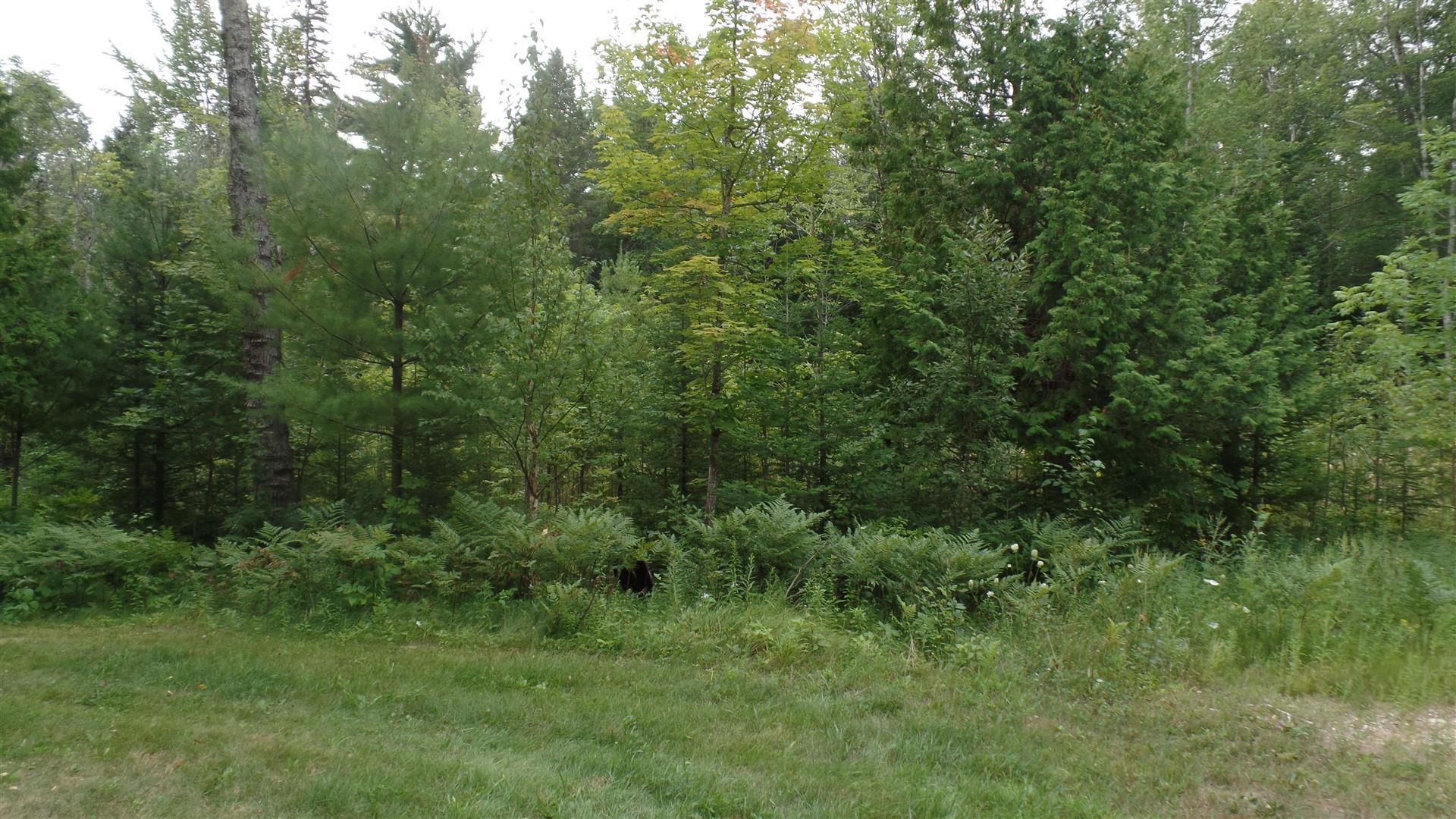 6780 Mann Road Cheboygan, MI 49721 - Photo 30 of 32 Gallery Image 30